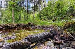 LOT 53 SPRY SHORE Road | Northern Bruce Peninsula Ontario | Slide Image Thirty