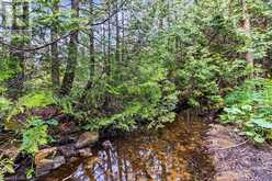 LOT 53 SPRY SHORE Road | Northern Bruce Peninsula Ontario | Slide Image Twenty-six