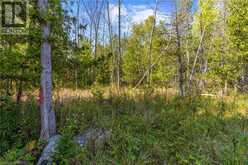 LOT 36 CON D SAUBLE FALLS Parkway | South Bruce Peninsula Ontario | Slide Image Ten