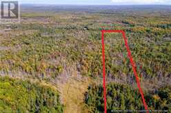 LOT 36 CON D SAUBLE FALLS Parkway | South Bruce Peninsula Ontario | Slide Image Thirty