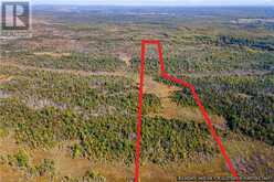 LOT 36 CON D SAUBLE FALLS Parkway | South Bruce Peninsula Ontario | Slide Image Five