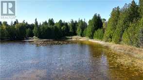 459 WARNER BAY Road | Tobermory Ontario | Slide Image Twenty-one