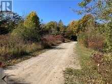 20 CAPE HURD Road S | Tobermory Ontario | Slide Image Seven