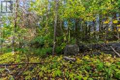 PART FARM LOT 4 NICHOLAS Street | Tobermory Ontario | Slide Image Sixteen