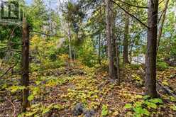 PART FARM LOT 4 NICHOLAS Street | Tobermory Ontario | Slide Image Five