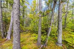 PART FARM LOT 4 NICHOLAS Street | Tobermory Ontario | Slide Image Four