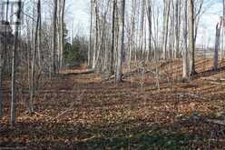 NA DORENA Crescent | Sauble Beach Ontario | Slide Image Nine