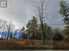 LT 8 W/S HIGHWAY 6 | Williamsford Ontario | Slide Image One