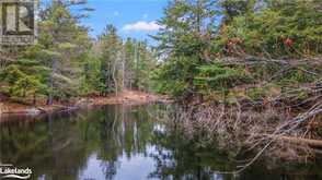 38 SR405 SEVERN RIVER Shore | Muskoka Ontario | Slide Image Forty-two