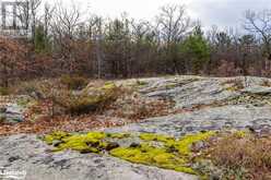 LOT 30 BIRCH ACRES DRIVE | Georgian Bay Ontario | Slide Image Sixteen