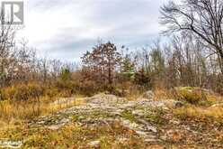 LOT 30 BIRCH ACRES DRIVE | Georgian Bay Ontario | Slide Image Thirty-three