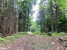 149 DEERFOOT Trail | Huntsville Ontario | Slide Image Eight