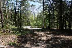 LOT 1 FAIRY FALLS ROAD | Lake of Bays Ontario | Slide Image Seven