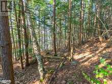 1250 WALDMERE Road Unit# Lot 2 | Bracebridge Ontario | Slide Image Ten