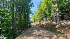 LOT 4 GONNSEN Trail | Haliburton Ontario | Slide Image Eleven