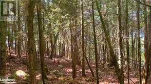 LOT 4 GONNSEN Trail | Haliburton Ontario | Slide Image Eighteen
