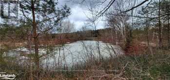 PT LTS 1-6 - LOT 1-6 36/37 NOTTAWASAGA SIDE ROAD | Clearview Ontario | Slide Image Seven