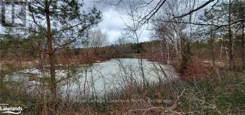 LOT 1-6 36/37 NOTTAWASAGA SIDE ROAD | Nottawa Ontario | Slide Image Seven