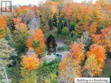 1019 BUSHWOLF LAKE Road | West Guilford Ontario | Slide Image Eight