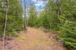 LOT 41 & 42 CONCESSION 4 | Northern Bruce Peninsula Ontario | Slide Image Thirteen