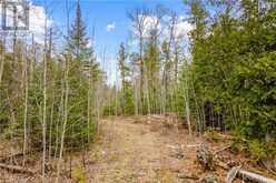 LOT 41 & 42 CONCESSION 4 | Northern Bruce Peninsula Ontario | Slide Image Thirty