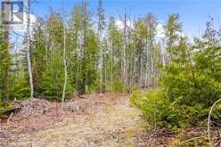 LOT 41 & 42 CONCESSION 4 | Northern Bruce Peninsula Ontario | Slide Image Thirty-one