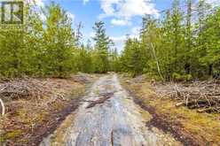 LOT 41 & 42 CONCESSION 4 | Northern Bruce Peninsula Ontario | Slide Image Eight