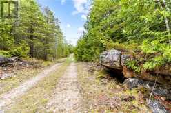 LOT 41 & 42 CONCESSION 4 | Northern Bruce Peninsula Ontario | Slide Image Nine