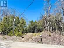 LOT 31 8TH B Concession | Grey Highlands Ontario | Slide Image One