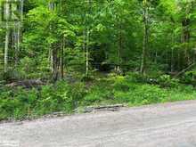 99 FOREST VIEW Road | Bancroft Ontario | Slide Image Twenty-one