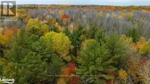 PART LOT 18 CONCESSION ROAD 13 W | Tiny Ontario | Slide Image Fifteen