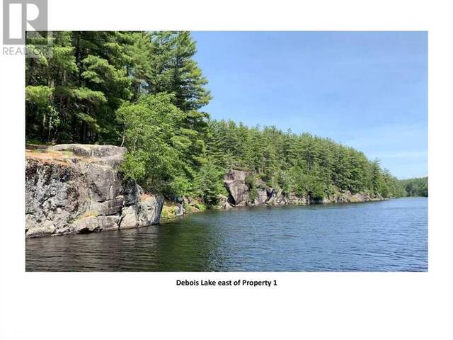 420 DEBOIS Lake Whitestone Ontario, P0A 1G0