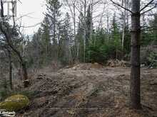 LOT 2 - 0 OLD MUSKOKA ROAD | Perry Ontario | Slide Image Sixteen