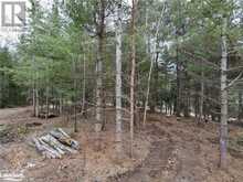 LOT 2 - 0 OLD MUSKOKA ROAD | Perry Ontario | Slide Image Nine