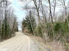 LOT 2 DWIGHT BEACH Road | Dwight Ontario | Slide Image Six