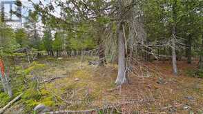 LT 255 PL 433 PEDWELL PT DRIVE | Northern Bruce Peninsula Ontario | Slide Image Seven