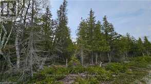 LT 255 PL 433 PEDWELL PT DRIVE | Northern Bruce Peninsula Ontario | Slide Image Eight