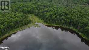 0 HARBURN Road | Haliburton Ontario | Slide Image Seventeen