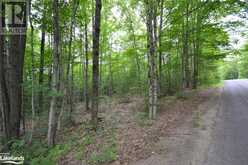 0 HARBURN Road | Haliburton Ontario | Slide Image Twenty-eight