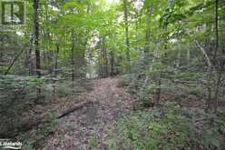 0 HARBURN Road | Haliburton Ontario | Slide Image Thirty