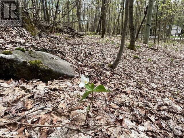 LOT 133 BRENNAN Circle Huntsville Ontario, P1H 2J2