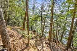 12865 LITTLE HAWK - SOUTH SHORE Lake | Haliburton Ontario | Slide Image Twenty-four