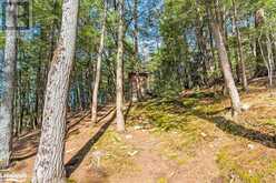 12865 LITTLE HAWK - SOUTH SHORE Lake | Haliburton Ontario | Slide Image Twenty-seven