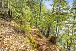 12865 LITTLE HAWK - SOUTH SHORE Lake | Haliburton Ontario | Slide Image Twenty-nine