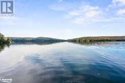 12865 LITTLE HAWK - SOUTH SHORE Lake | Haliburton Ontario | Slide Image Forty-three