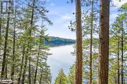 12865 LITTLE HAWK - SOUTH SHORE Lake | Haliburton Ontario | Slide Image Five