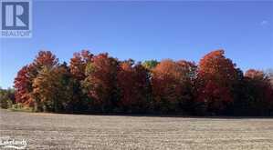 828999 MULMUR NOTTAWASAGA Townline | Glencairn Ontario | Slide Image Forty-six