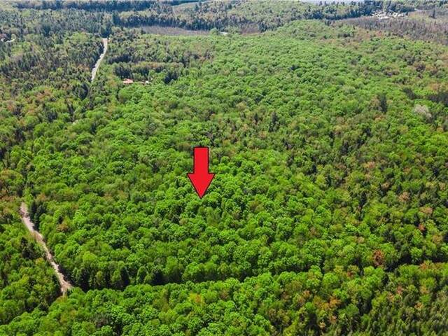 0 HEALEY LAKE Road Bracebridge Ontario, P1L 1X3