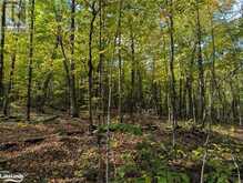 0 HEALEY LAKE Road | Bracebridge Ontario | Slide Image Fifteen