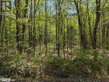 0 HEALEY LAKE Road | Bracebridge Ontario | Slide Image Five